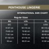 Комплект Penthouse - Midnight Mirage Black XL (мятая упаковка)
